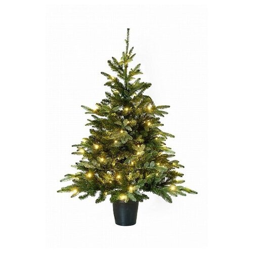   MORITZ 120  LED,  18050  Holiday Tree