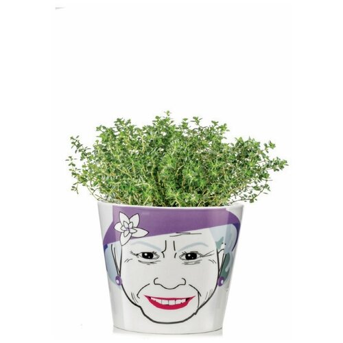   Donkey Products Flower Queen, DO210761 1190