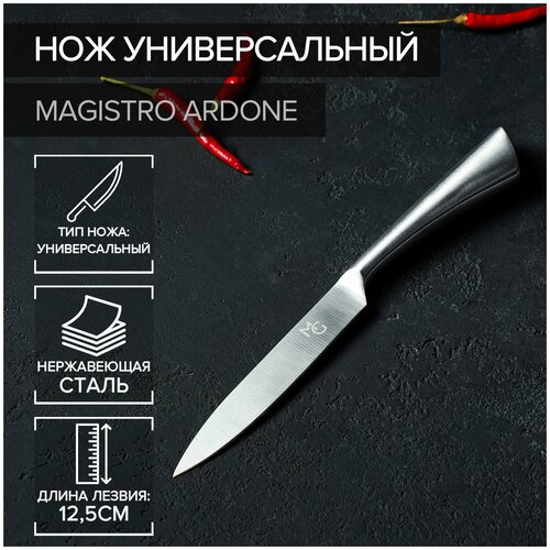 ��� ������������� Magistro Ardone, ������ 12,5 �� 454�
