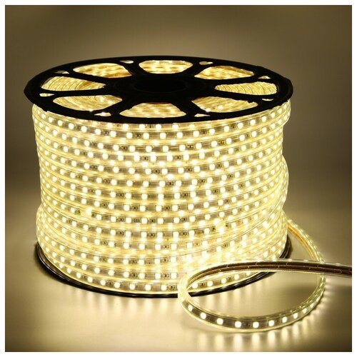   Ecola, 60 Led/, 14.4 , 220 , 4200 , Ip68, 147 , 100  14228