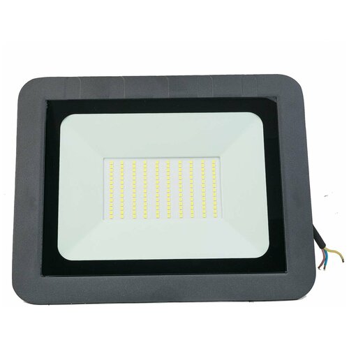    LED FL 100W65 . 1712