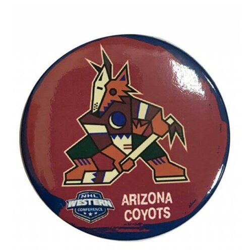    ARIZONA COYOTS 225