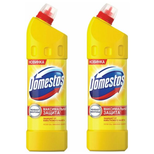 DOMESTOS 500   (2   ) 338