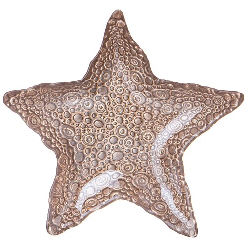  starfish sand 18 727