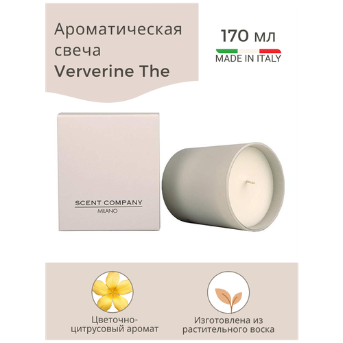   VERVERINE THE (  ) 170 4800