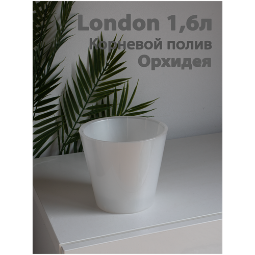    London Orchid Deco 16 , 1,6 ,   305