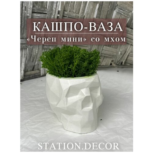  -  STATION.DECOR      