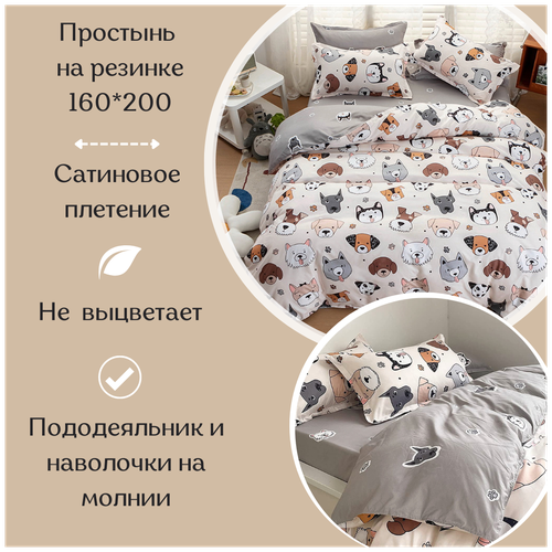     Grazia Textile, Dogs, 2- , ,  70x70,     160*200 ,  3690  Grazia Textile