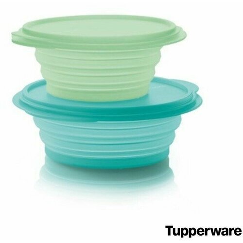  - (950 /1). Tupperware 1999