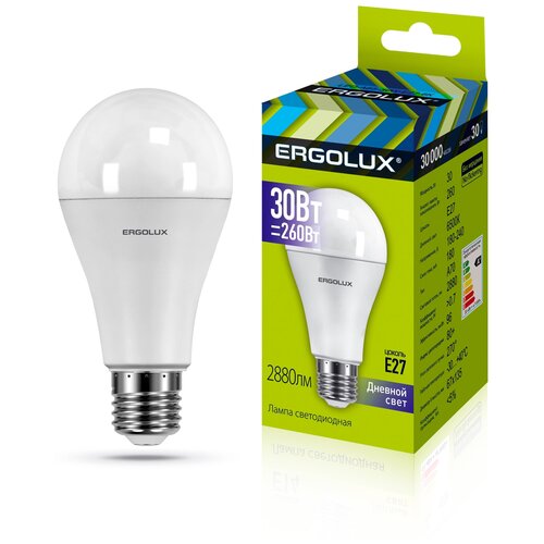 (��.����� ������������ ��� 30�� E27 6500K 180-240�), ERGOLUX LED-A70-30W-E27-6K (5 ��.) 1453�