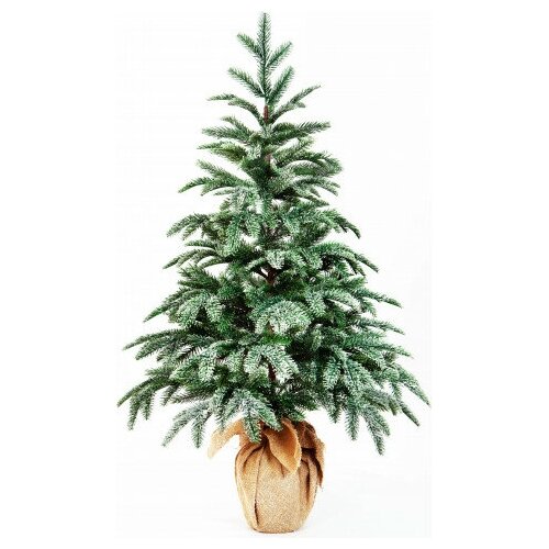 Crystal trees       210  74059