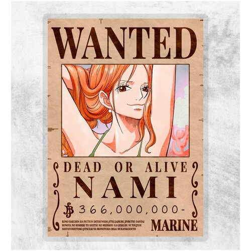  One Piece: ( ) 300