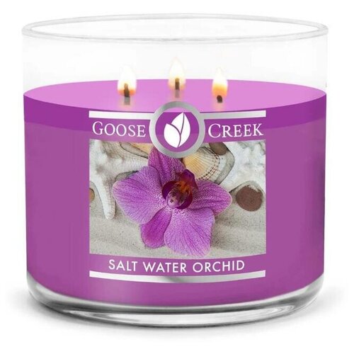    GOOSE CREEK Salt Water Orchid 35 GC151119-vol,  3000  Goose Creek