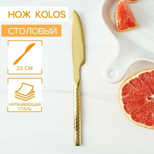      Magistro Kolos, h=22 ,   550