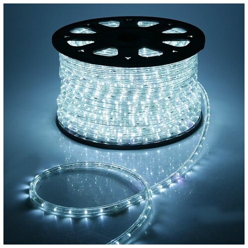   Luazon Lighting 13 , IP65, 100 , 36 LED/, 220 , 2W, ,   21912