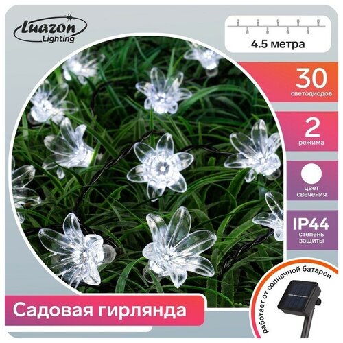   4.5    , IP44,  , 30 LED,  , 2 ,   682