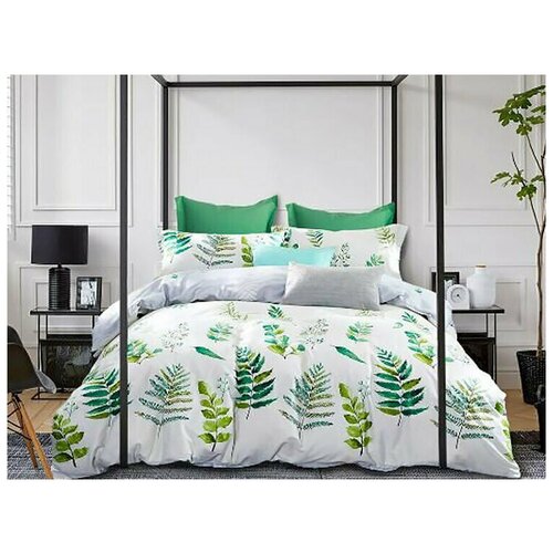 Mioletto ���������� ����� Freda (��������) 9086�