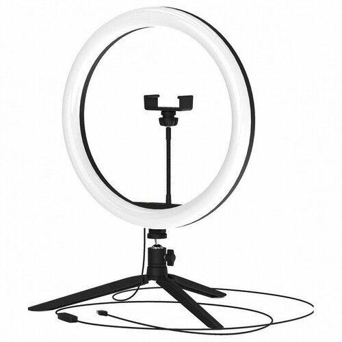     Gauss Ring Light RL003,  3690  gauss