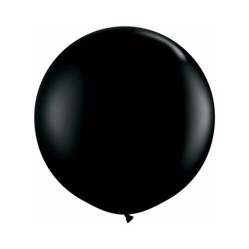 ��� ��������� ��������� � 250/025 ������� Black ������ 60 �� (1 � ��) 424�